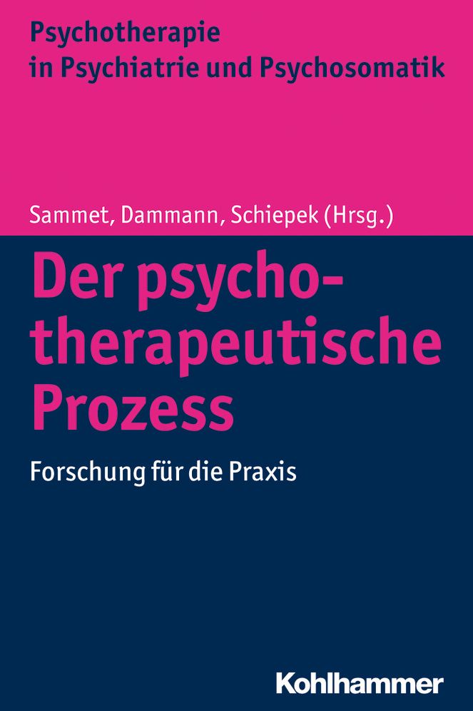 Der psychotherapeutische Prozess: Forschung fur die Praxis