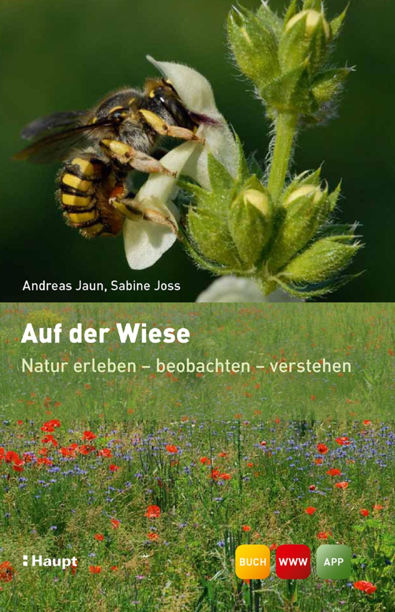 Auf der Wiese: Natur erleben - beobachten - verstehen