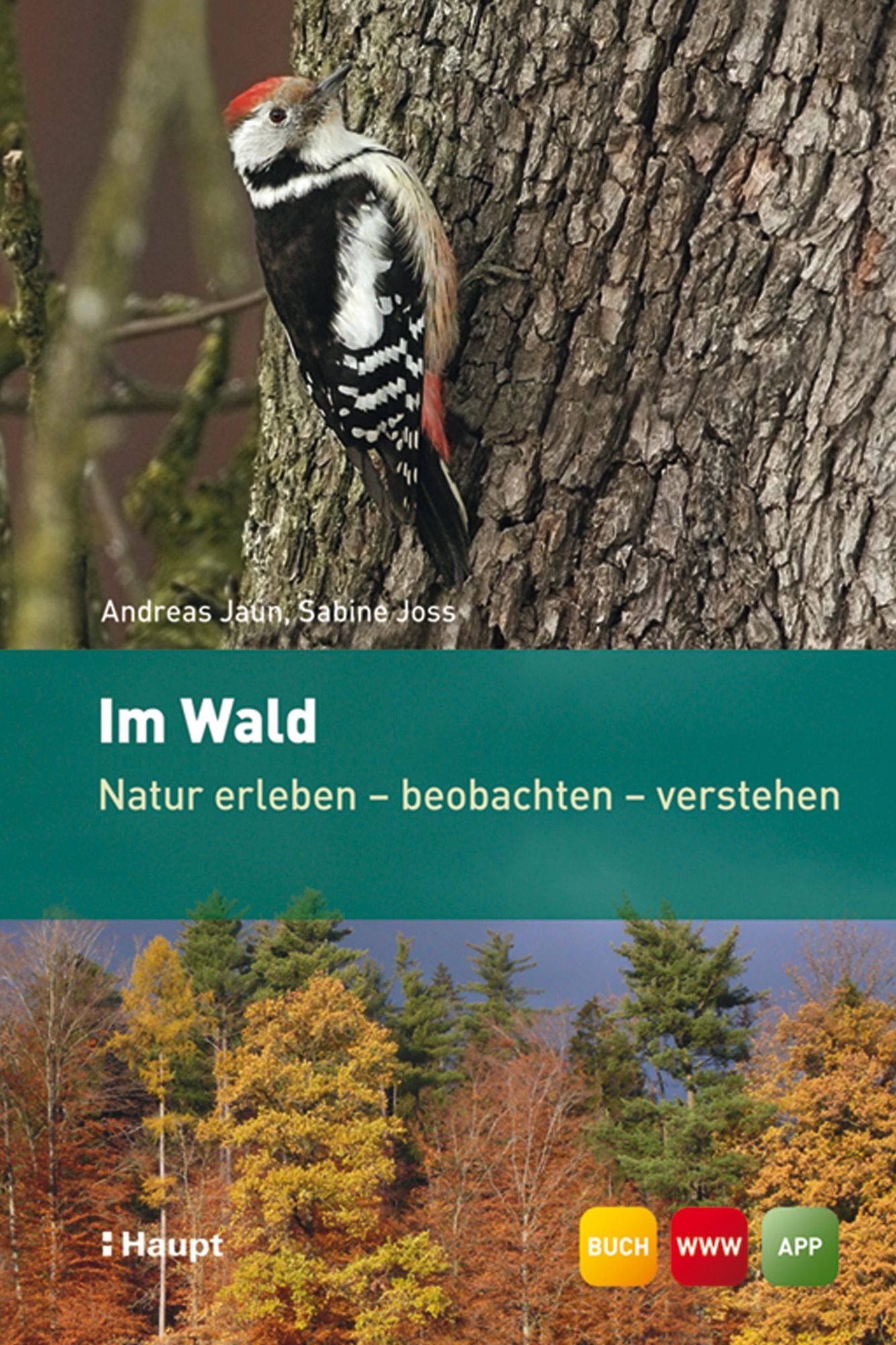 Im Wald: Natur erleben - beobachten - verstehen