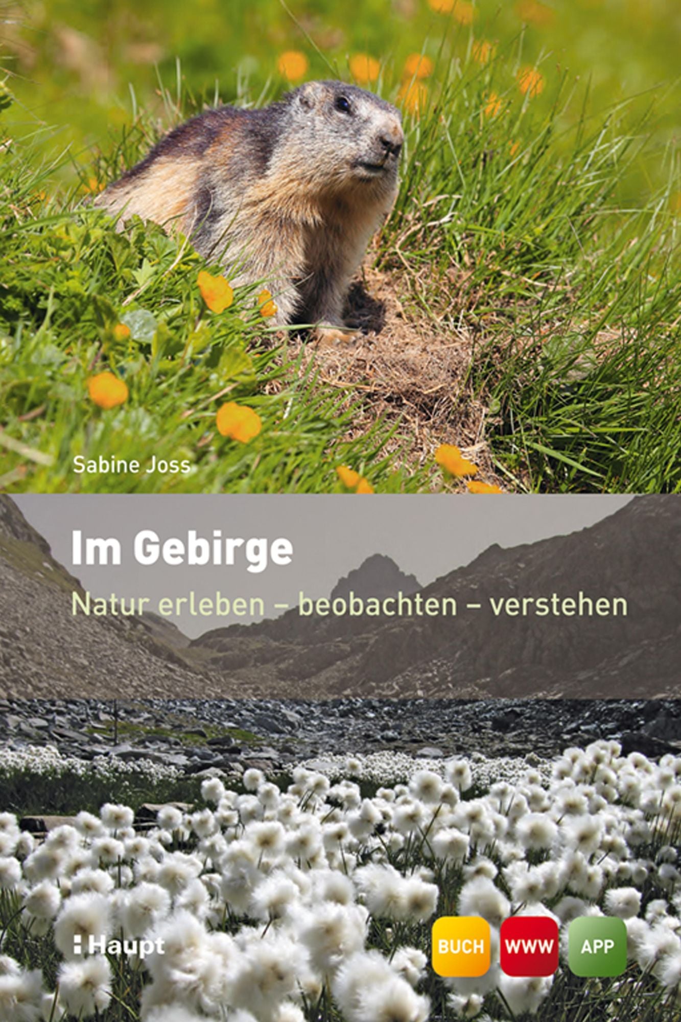 Im Gebirge: Natur erleben - beobachten - verstehen