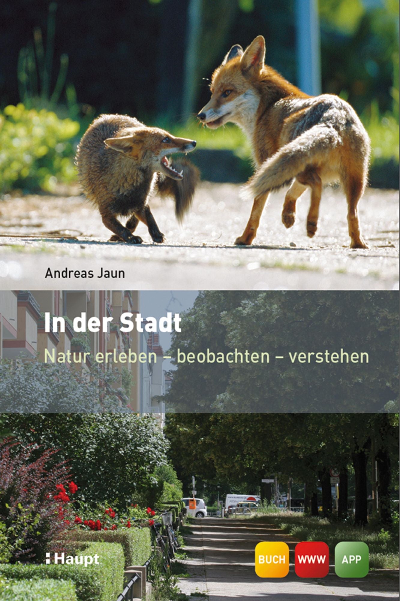 In der Stadt: Natur erleben - beobachten - verstehen