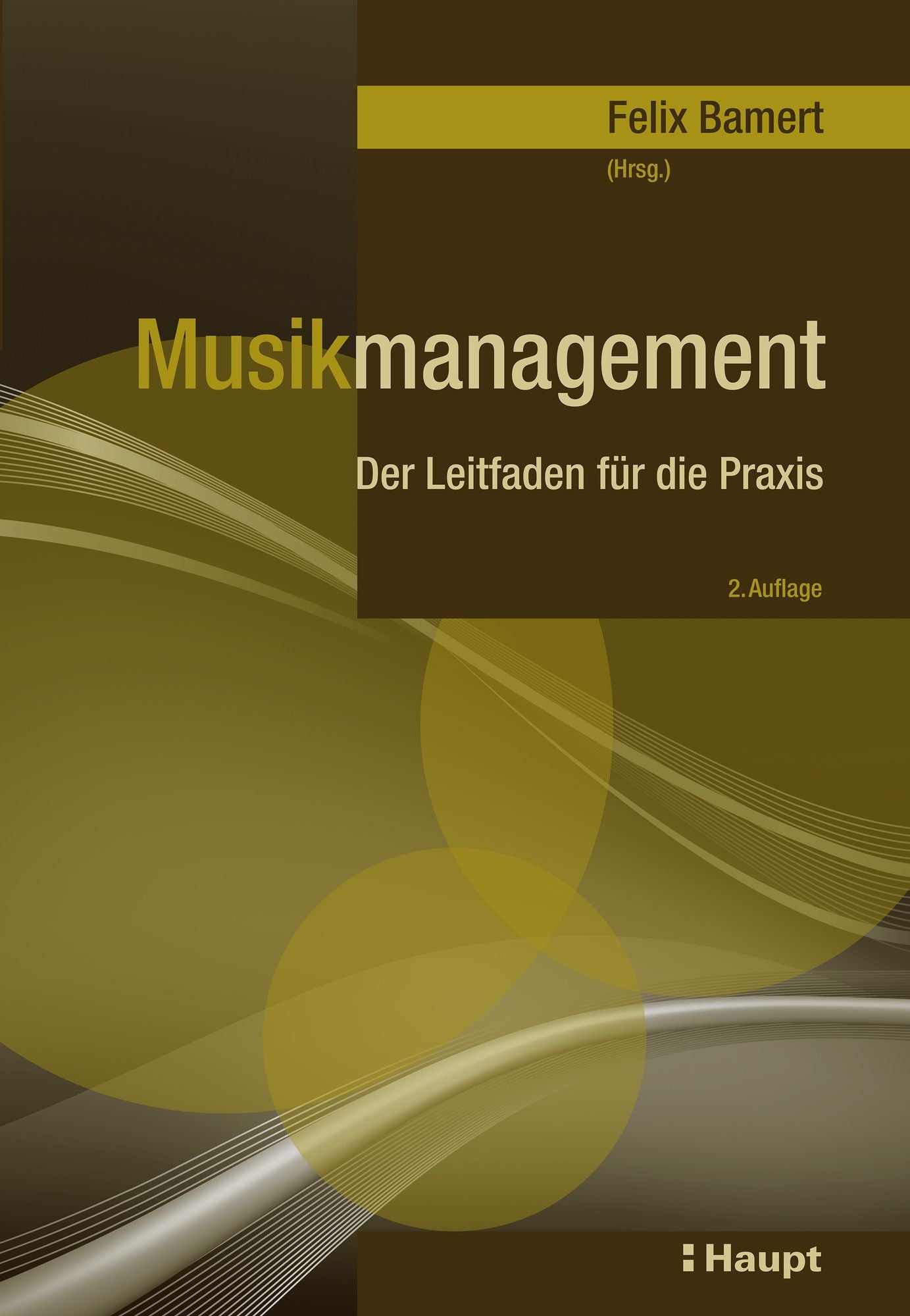Musikmanagement: Der Leitfaden für die Praxis