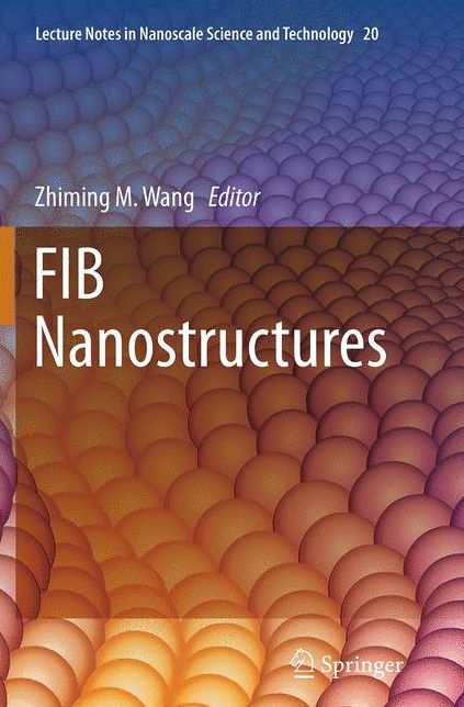 Fib Nanostructures