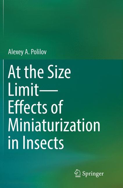 At the Size Limit - Effects of Miniaturization in Insects