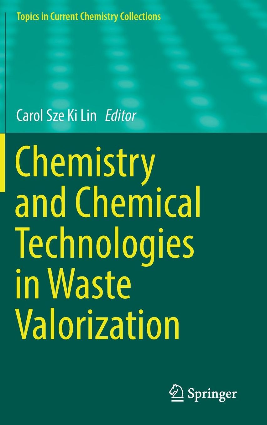 Chemistry and Chemical Technologies in Waste Valorization