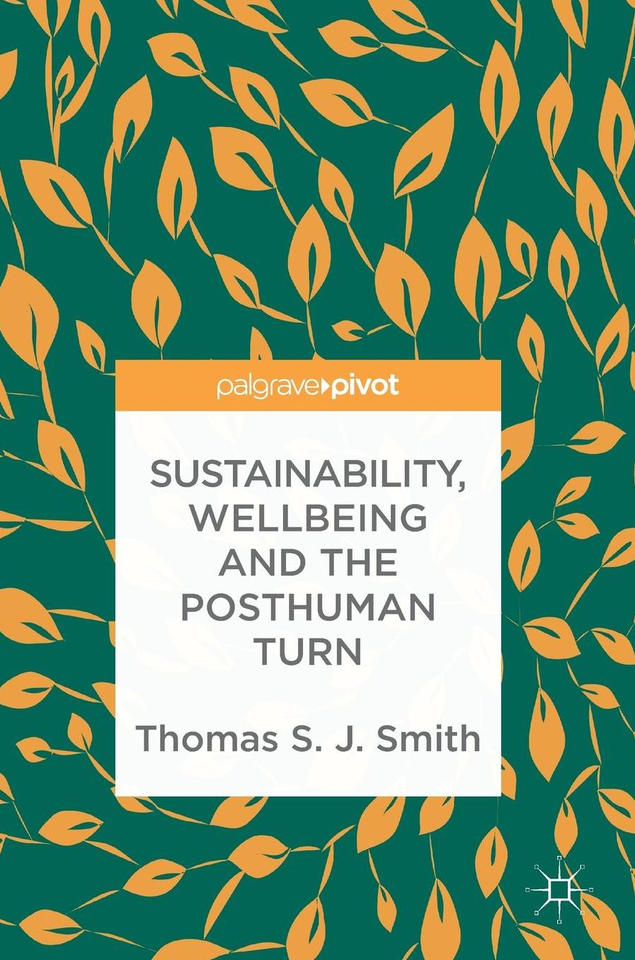 Wellbeing and Sustainability: Contested Conceptions and New Foundations