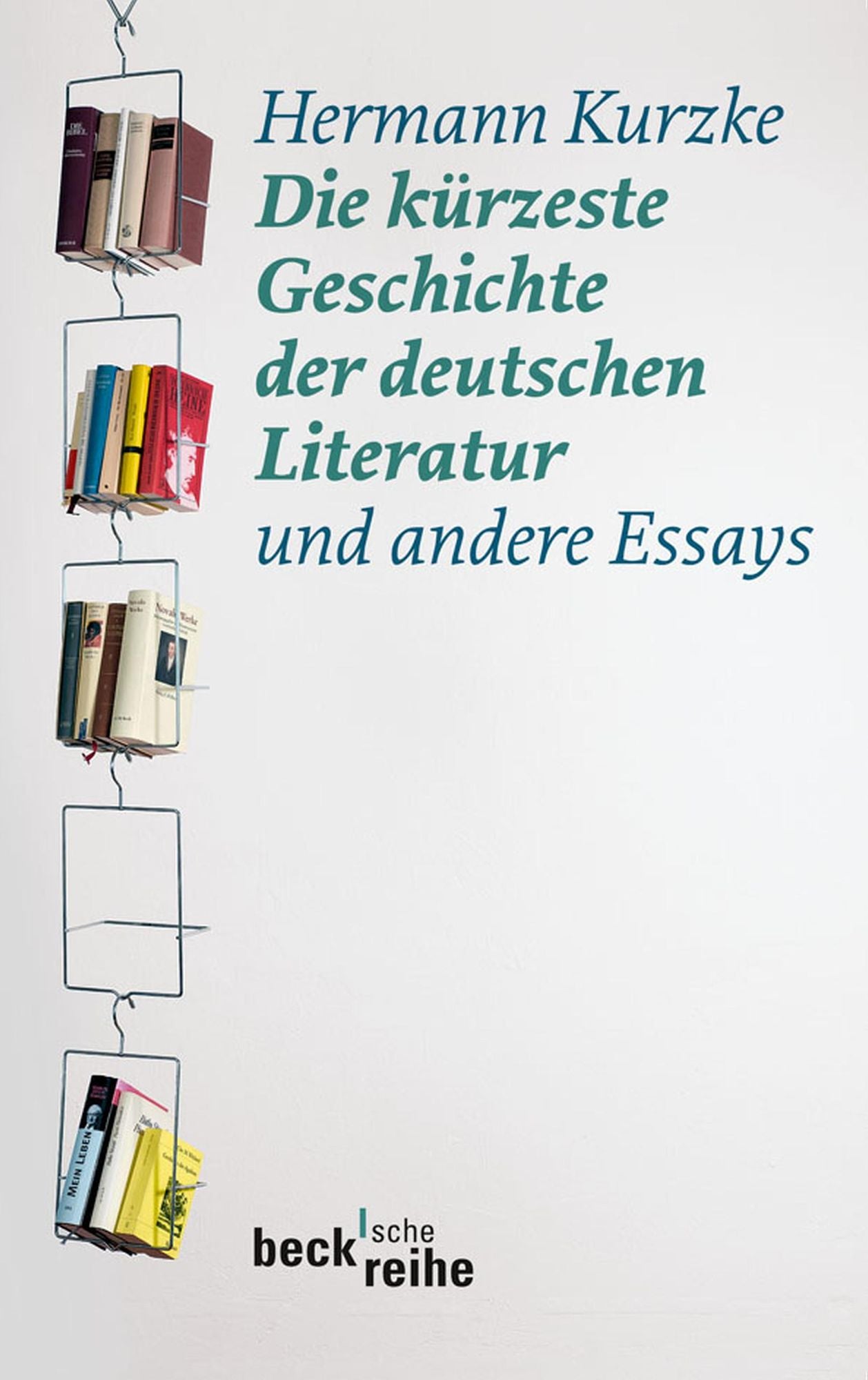 Die kürzeste Geschichte der deutschen Literatur: und andere Essays