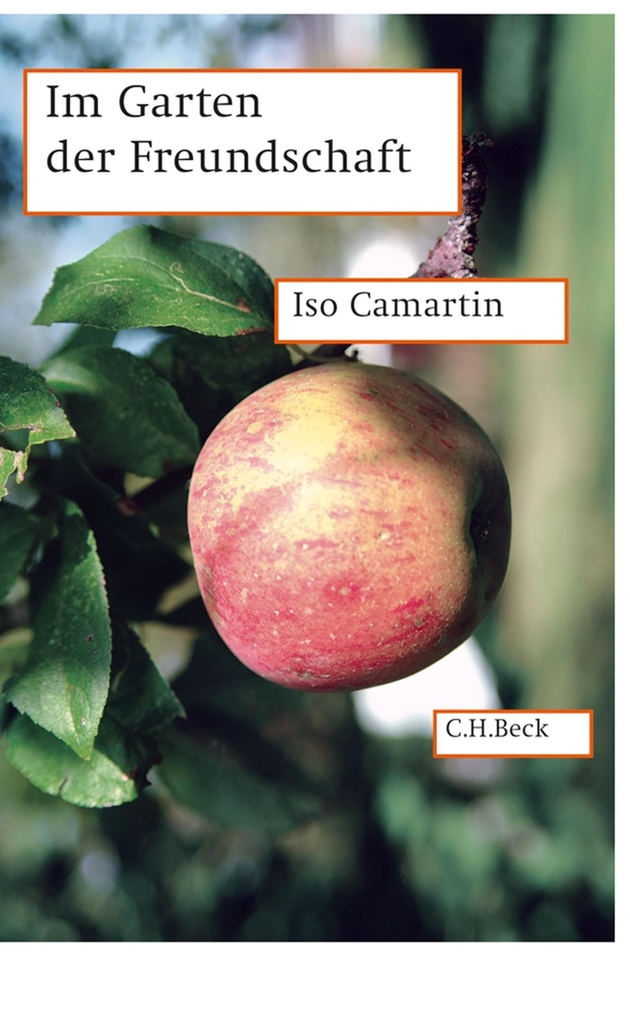 Im Garten der Freundschaft: Eine Spurensuche