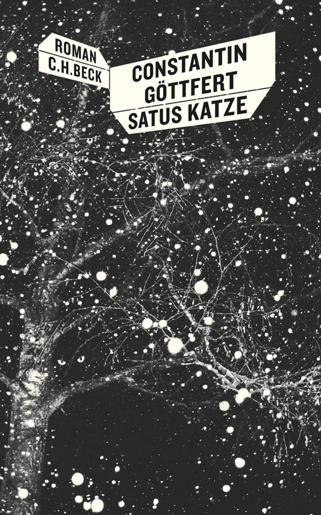 Satus Katze: Roman