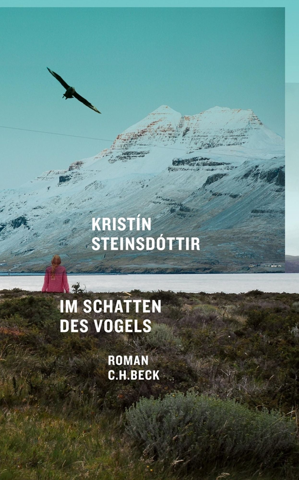 Im Schatten des Vogels