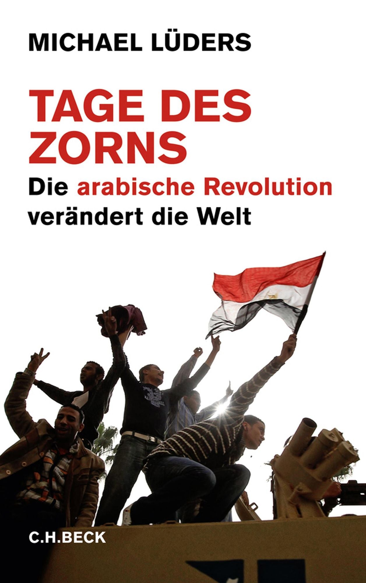Tage des Zorns: Die arabische Revolution verändert die Welt