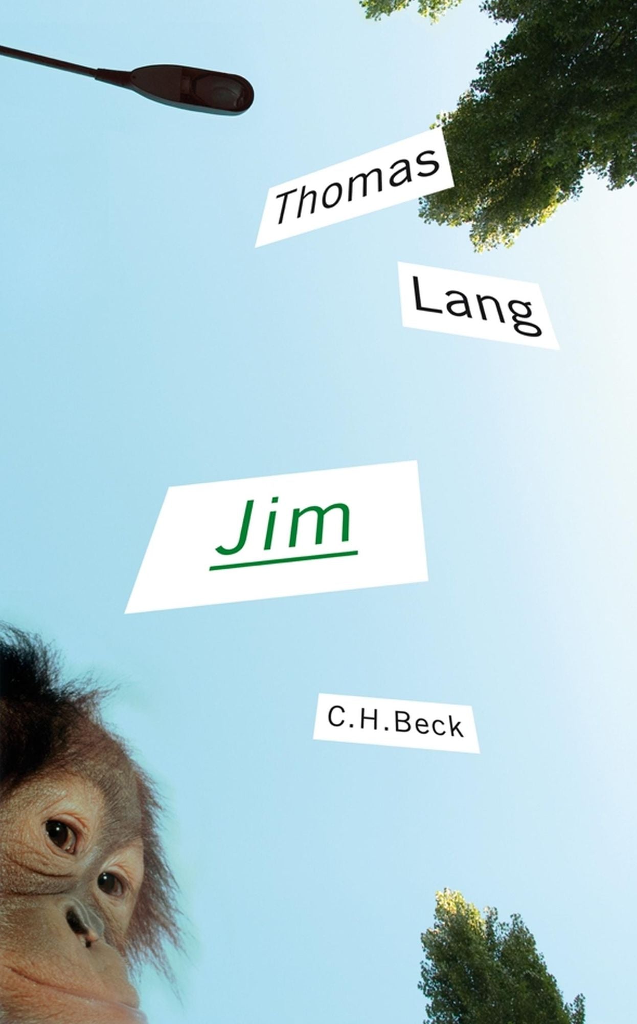 Jim: Eine Erzählung