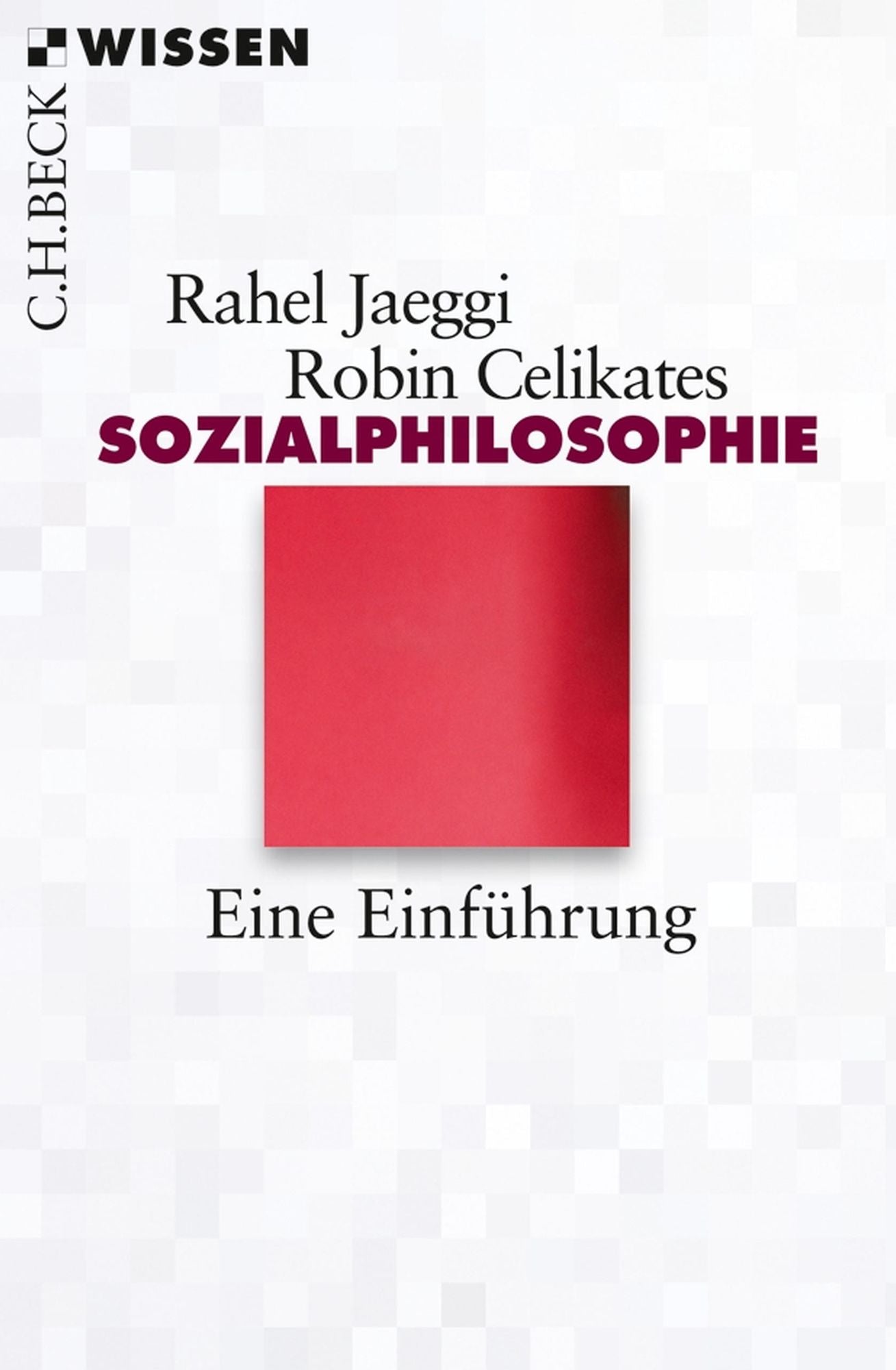 Sozialphilosophie: Eine Einführung
