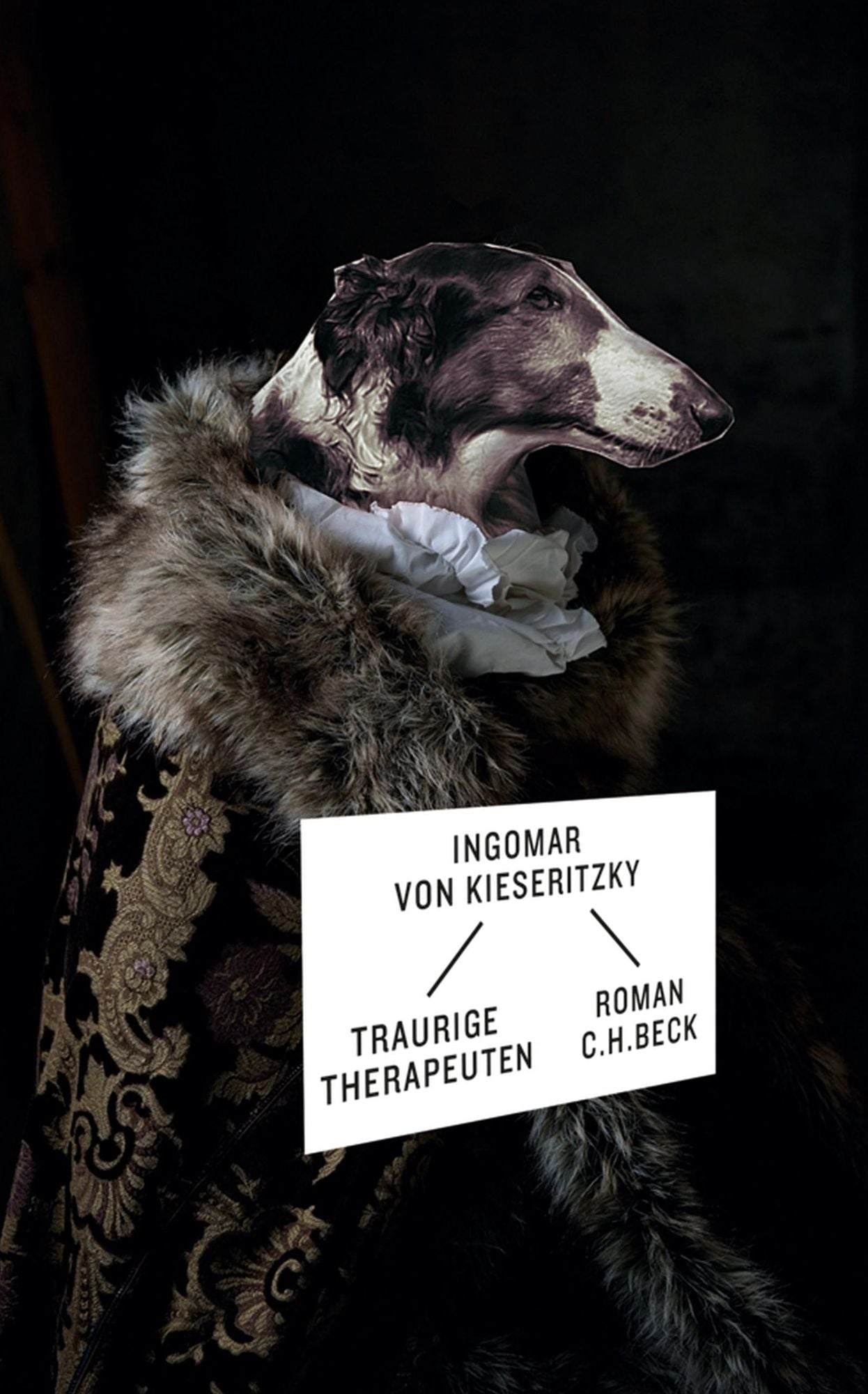 Traurige Therapeuten: Roman