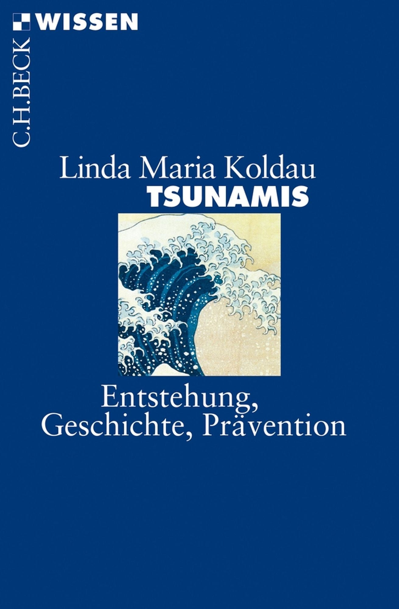 Tsunamis: Entstehung, Geschichte, Prävention