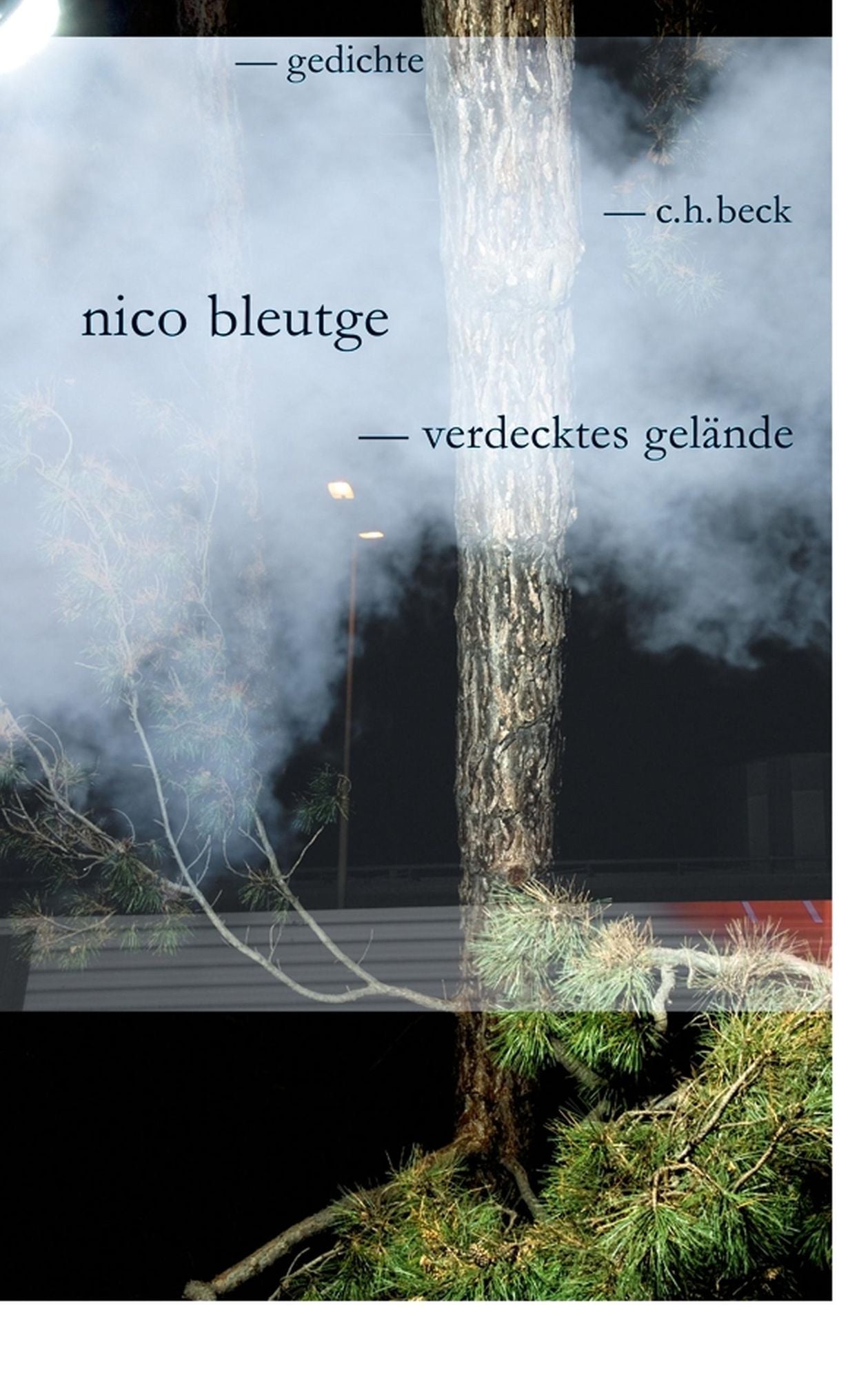 verdecktes gelände: gedichte