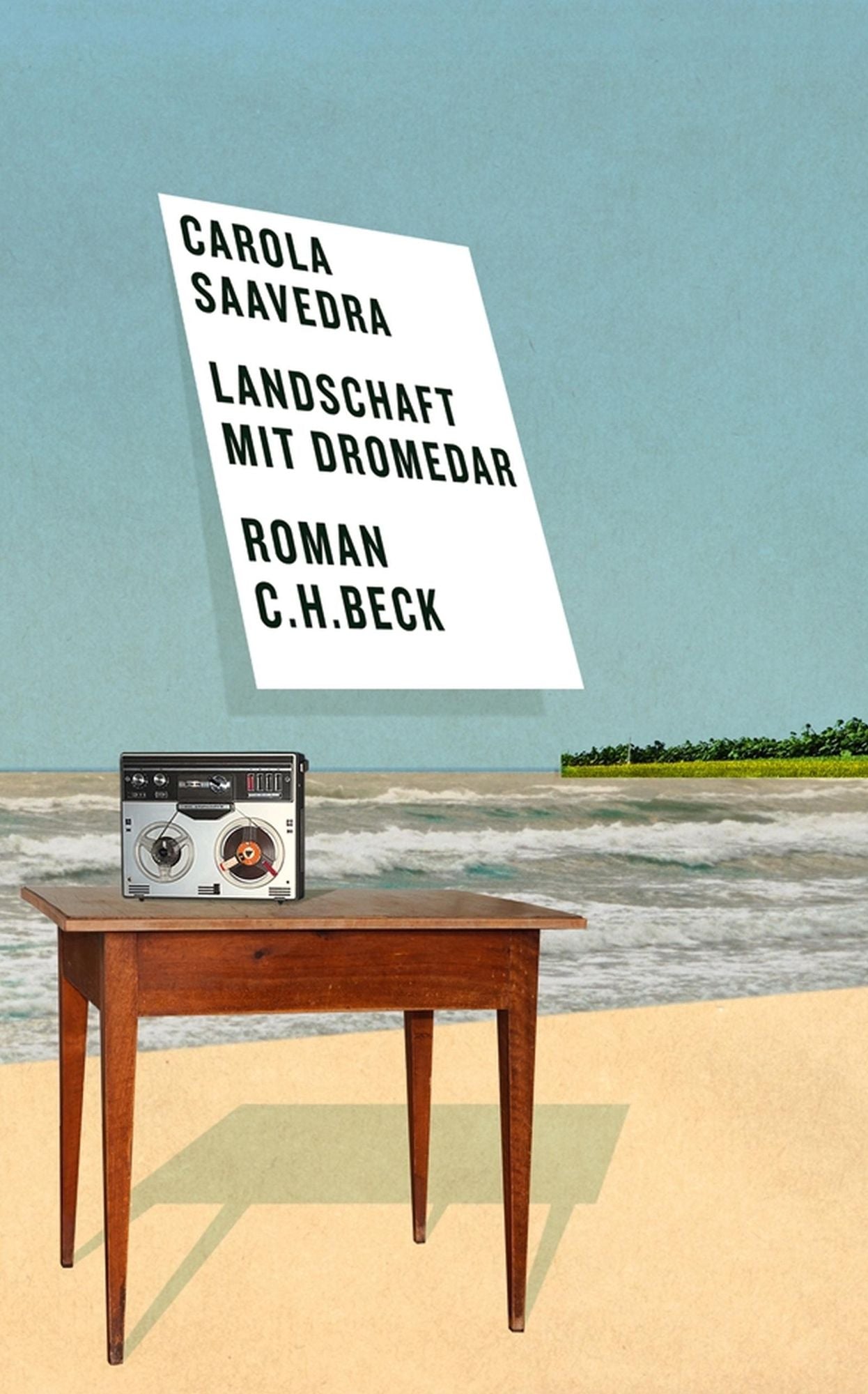 Landschaft mit Dromedar: Roman