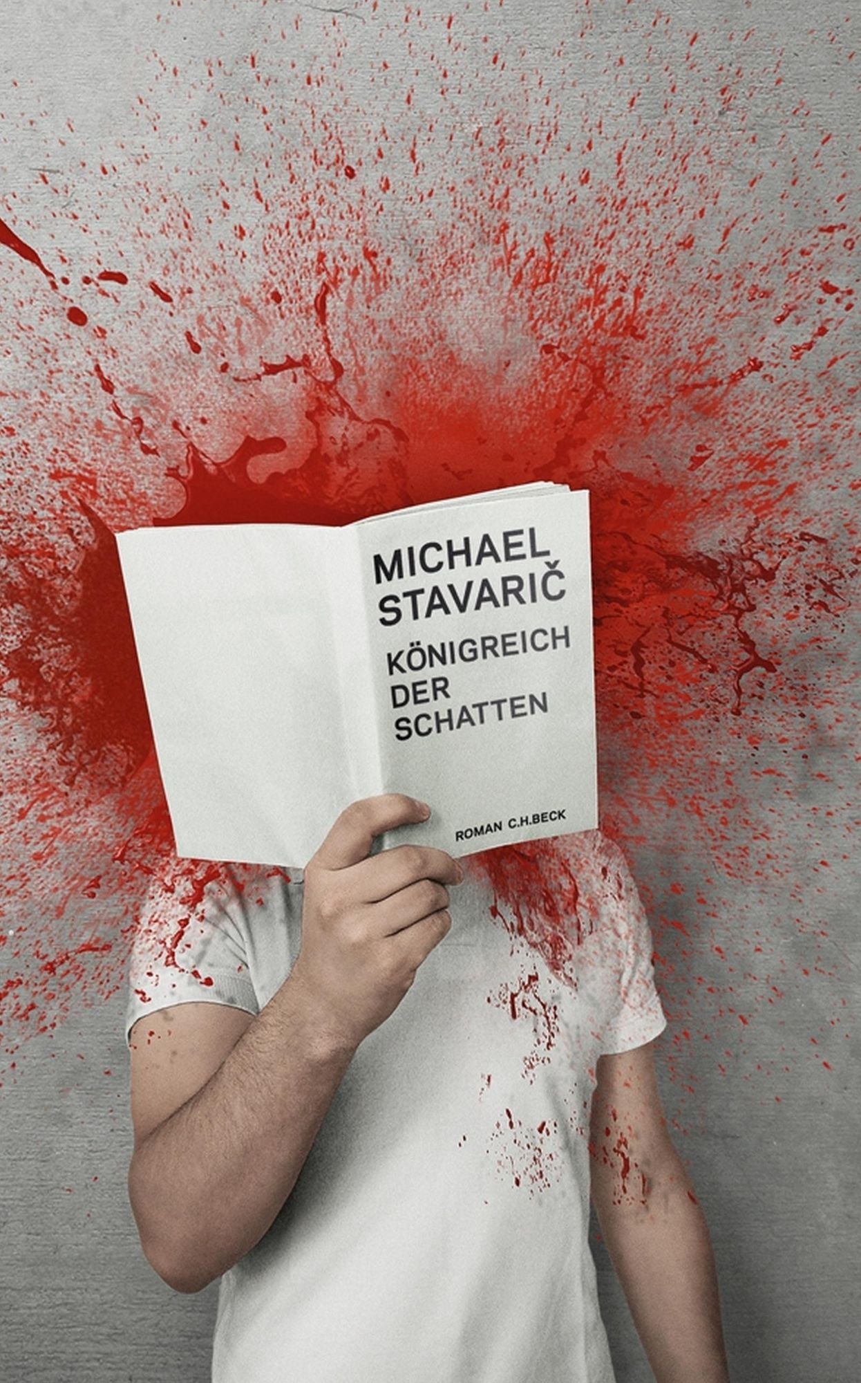 Königreich der Schatten: Roman