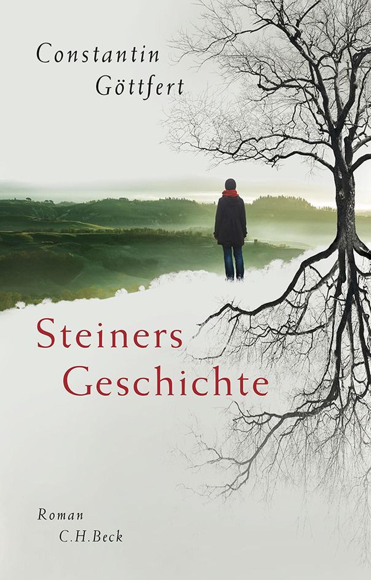 Steiners Geschichte: Roman