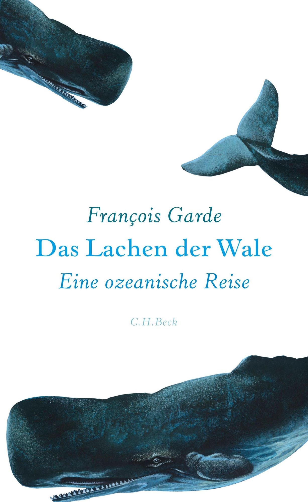 Das Lachen der Wale: Eine ozeanische Reise