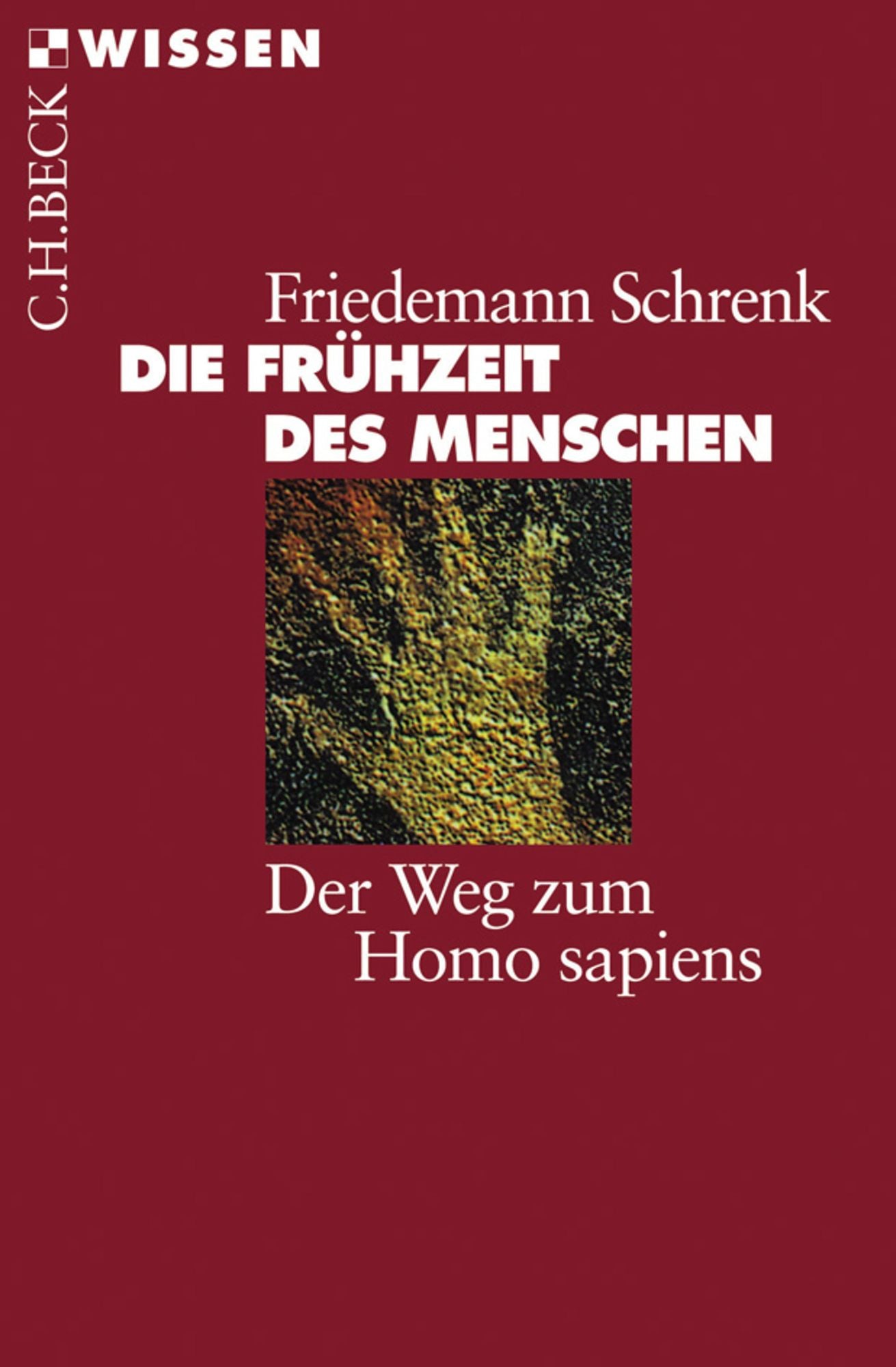 Die Frühzeit des Menschen: Der Weg zum Homo sapiens