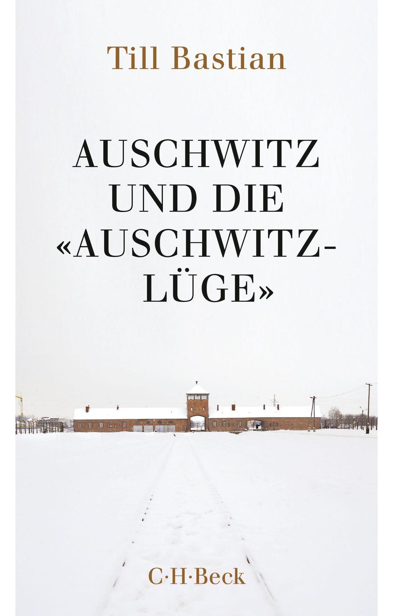 Auschwitz und die 'Auschwitz-Lüge': Massenmord, Geschichtsfälschung und die deutsche Identität