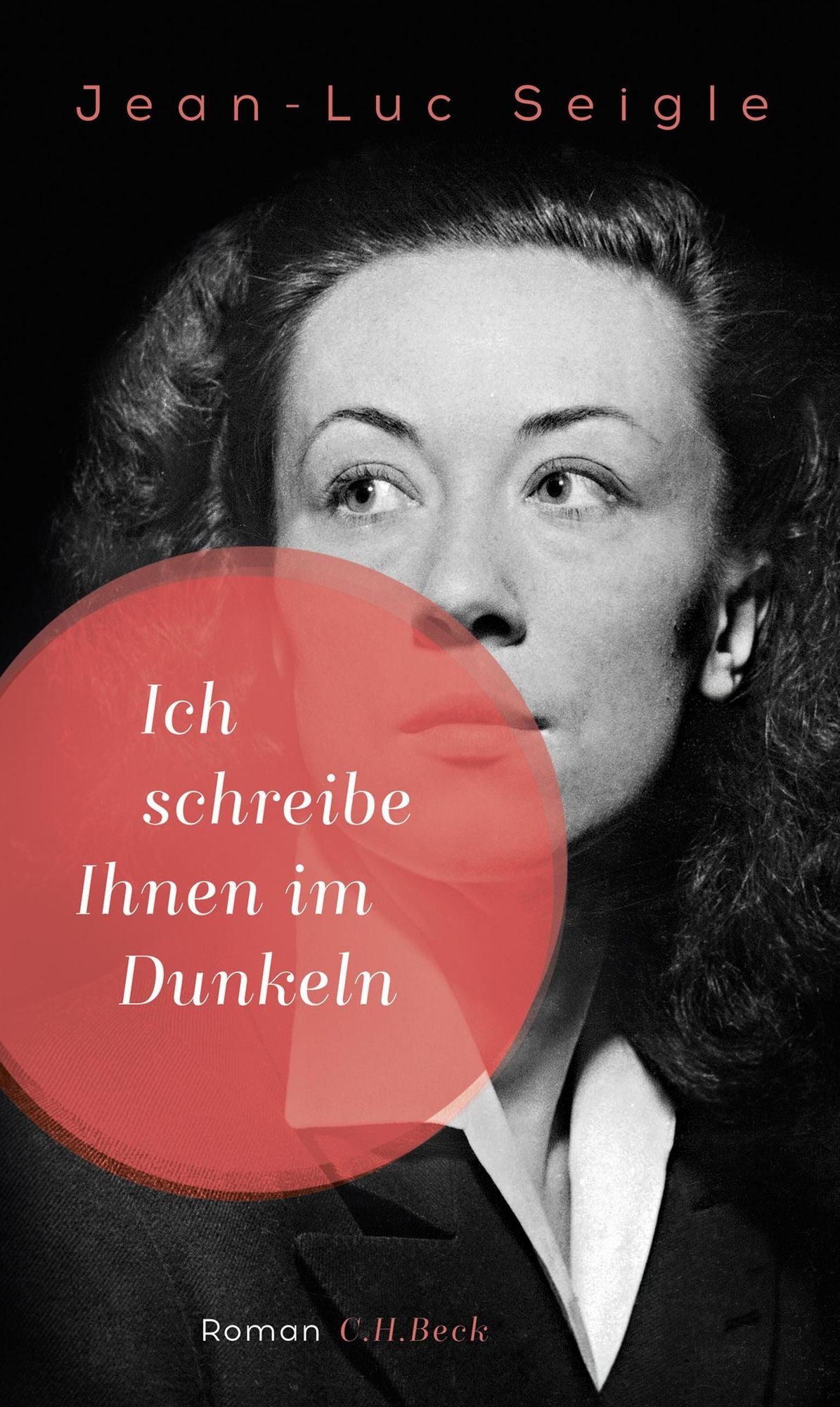 Ich schreibe Ihnen im Dunkeln: Roman