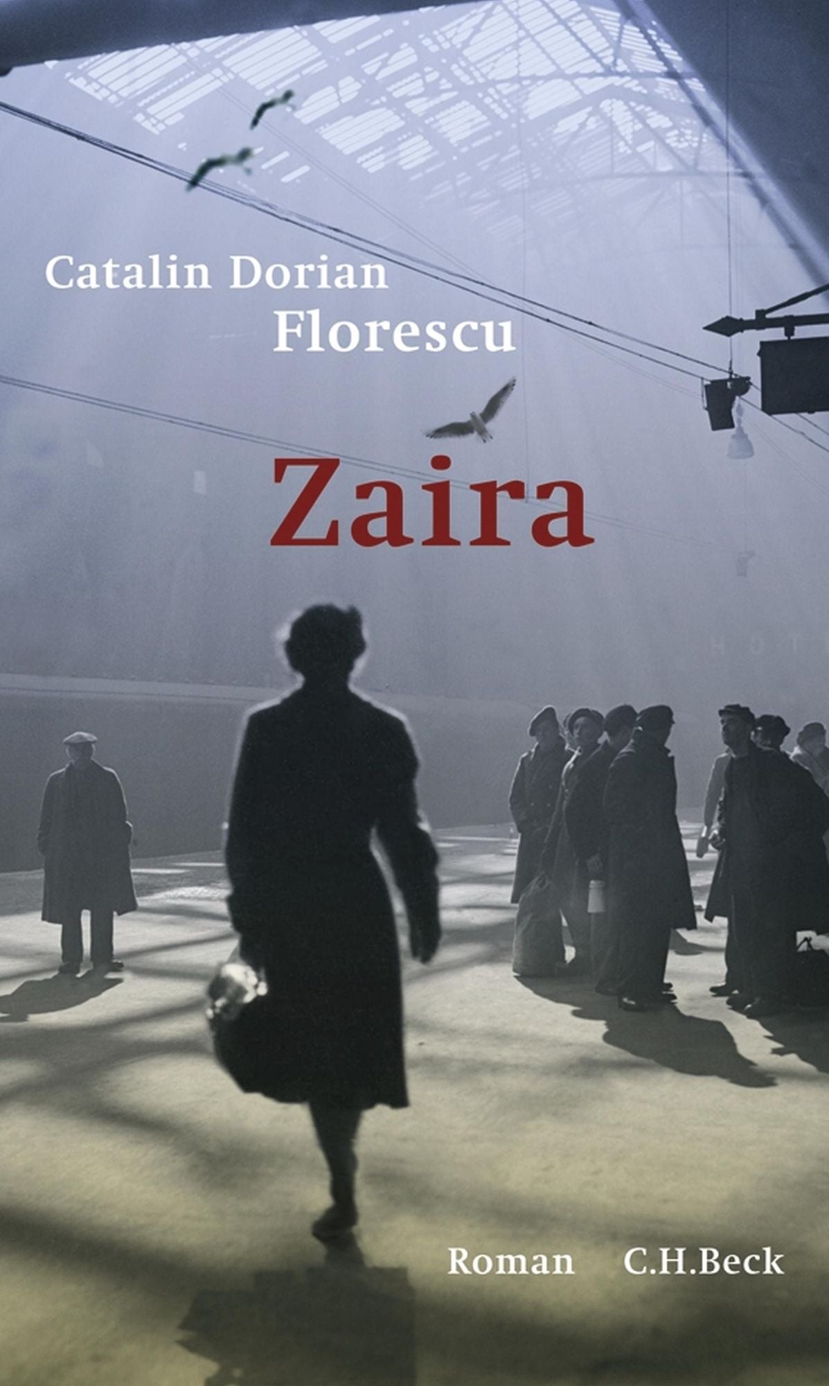 Zaira: Roman