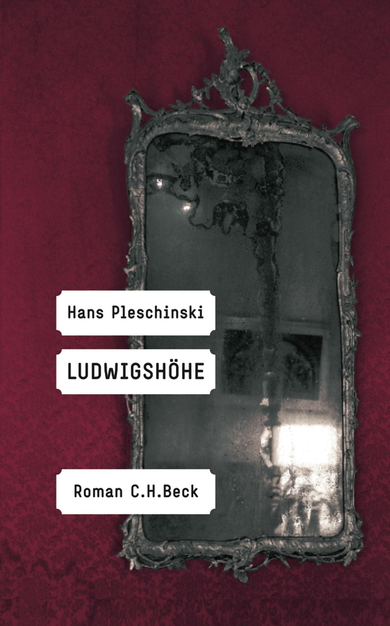 Ludwigshöhe: Roman