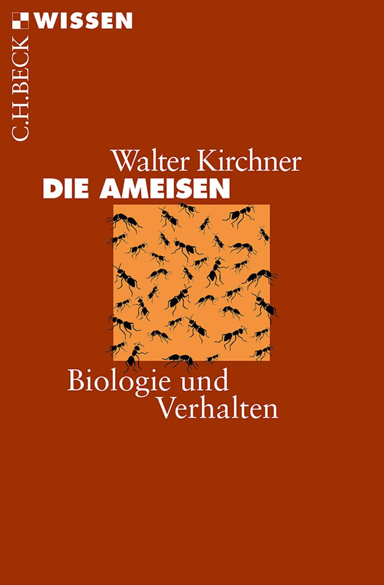 Die Ameisen: Biologie und Verhalten