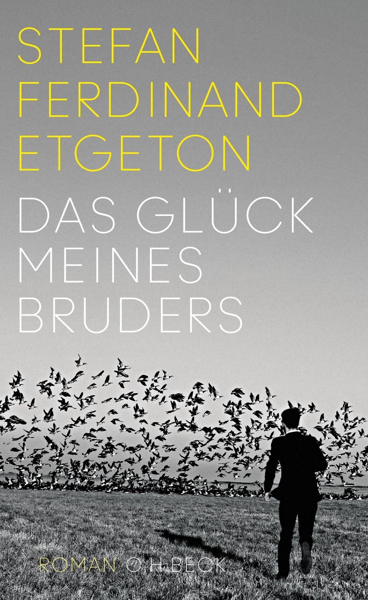 Das Glück meines Bruders: Roman