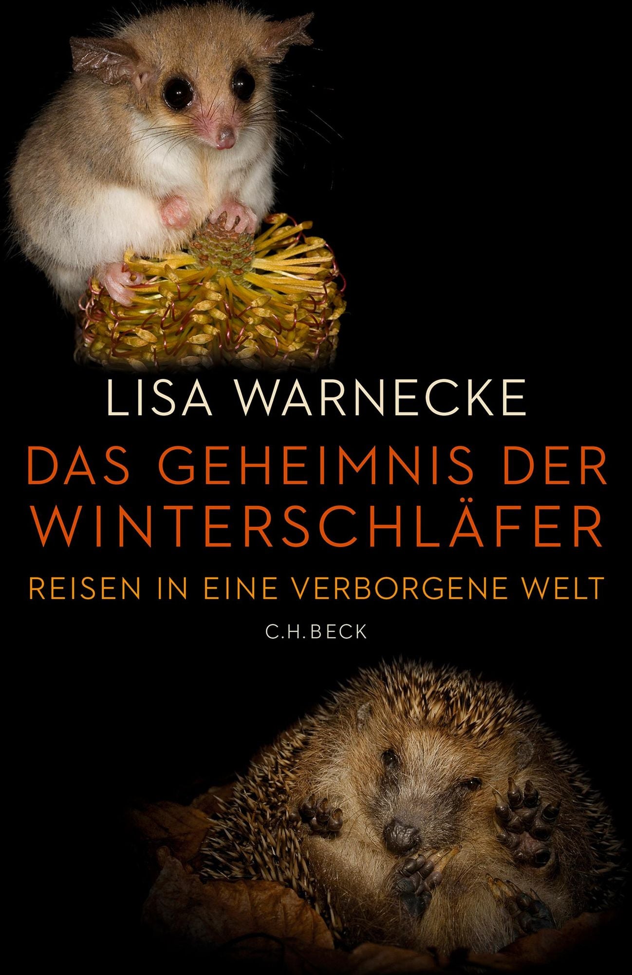 Das Geheimnis der Winterschläfer: Reisen in eine verborgene Welt
