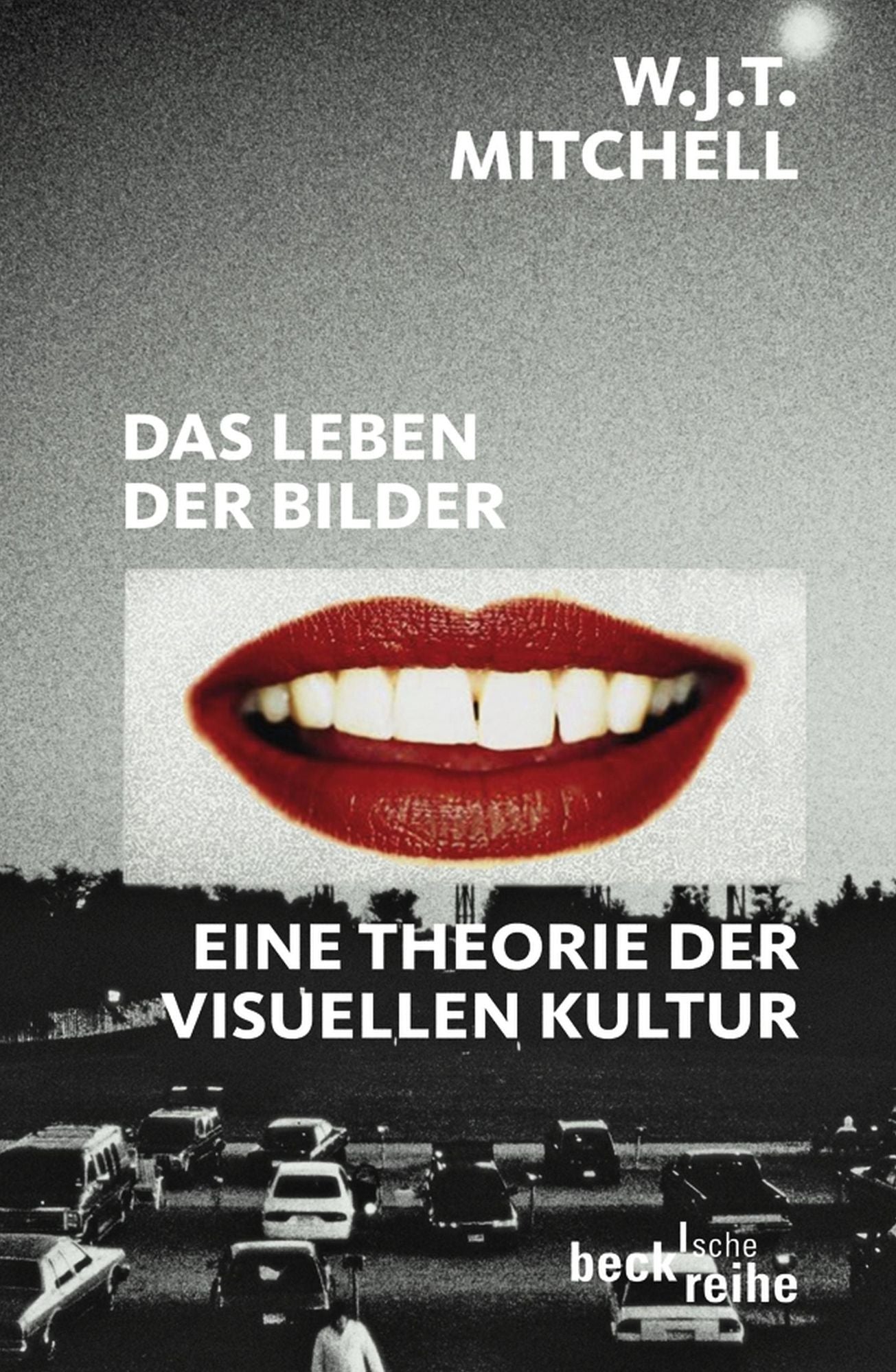 Das Leben der Bilder: Eine Theorie der visuellen Kultur