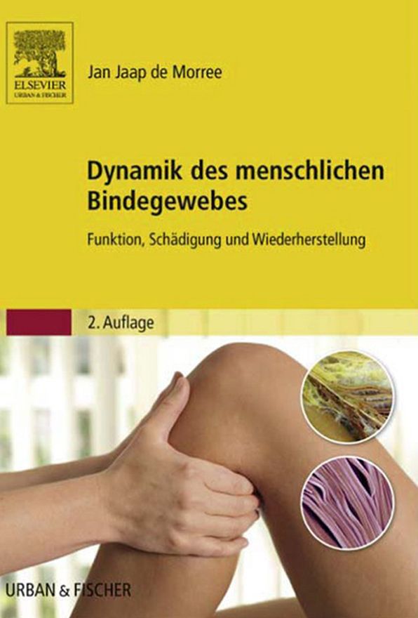 Dynamik des menschlichen Bindegewebes: Funktion, Schädigung und Wiederherstellung