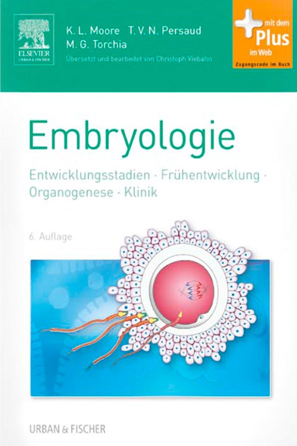Embryologie: Entwicklungsstadien - Frühentwicklung - Organogenese - Klinik
