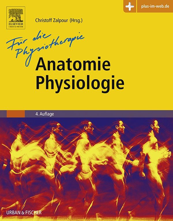 Anatomie Physiologie für die Physiotherapie