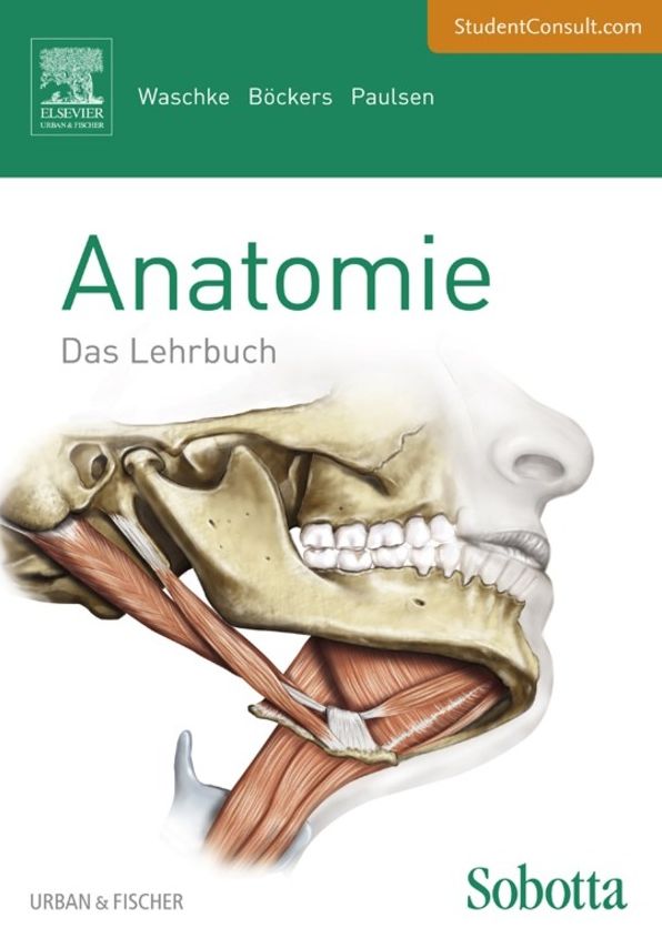 Sobotta Lehrbuch Anatomie