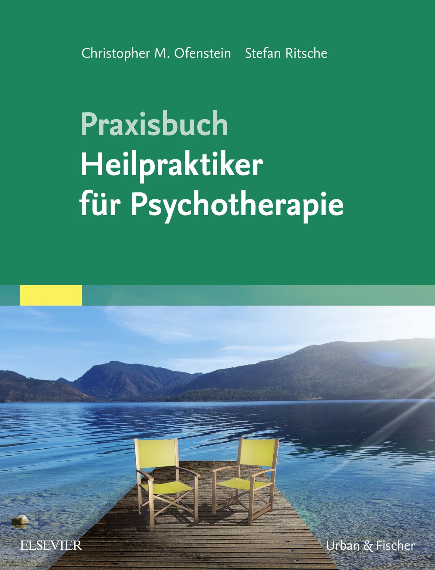 PraxisbuchHeilpraktiker für Psychotherapie