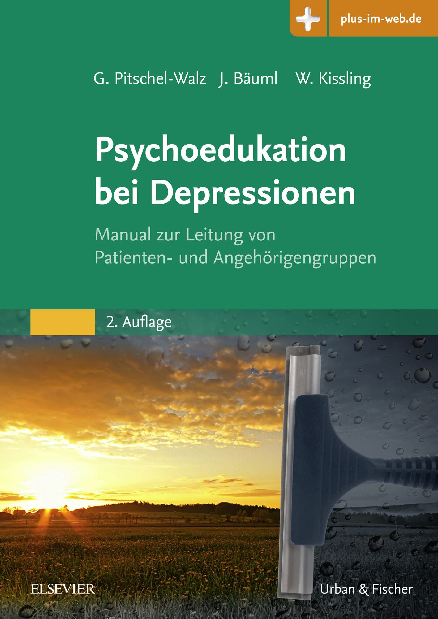 Psychoedukation bei Depressionen: Manual zur Leitung von Patienten- und Angehörigengruppen