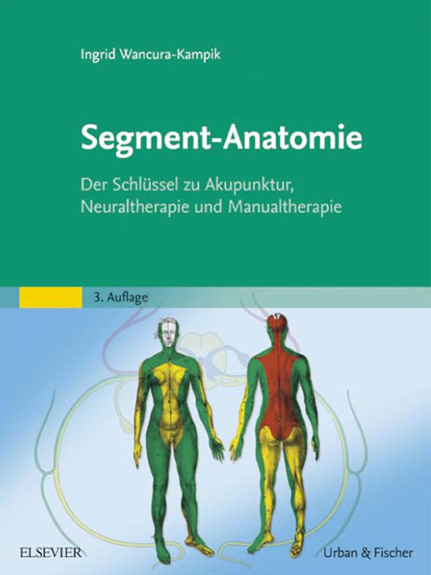 Segment-Anatomie: Der Schlüssel zu Akupunktur, Neuraltherapie und Manualtherapie