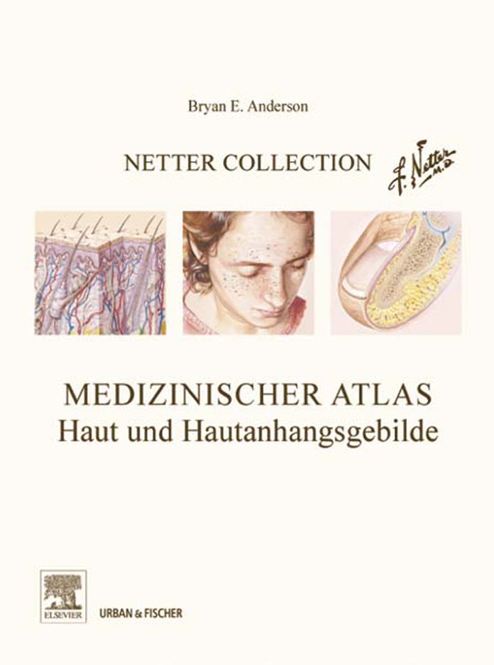 Netter Collection Muskuloskelettales System Band 2