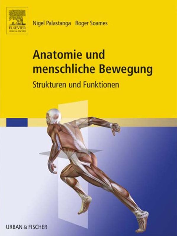 Anatomie und menschliche Bewegung: Strukturen und Funktionen