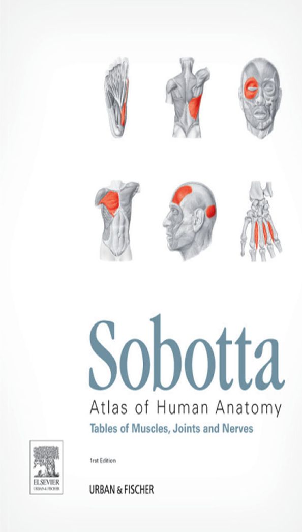 Sobotta Tables of Muscles, Joints and Nerves, English/Latin: Tables to 15th ed. of the Sobotta Atlas