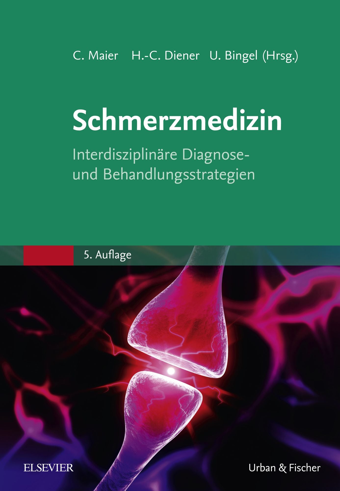 Die Schmerzmedizin: Interdisziplinäre Diagnose- und Behandlungsstrategien