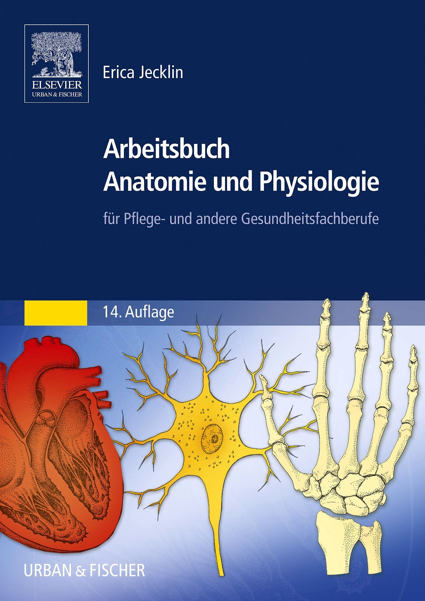 Arbeitsbuch Anatomie und Physiologie: für Pflege- und andere Gesundheitsfachberufe
