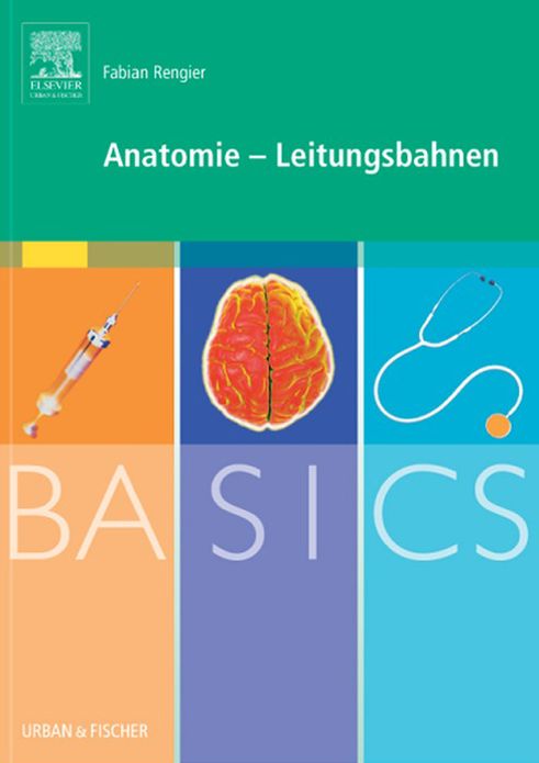 BASICS Anatomie - Leitungsbahnen