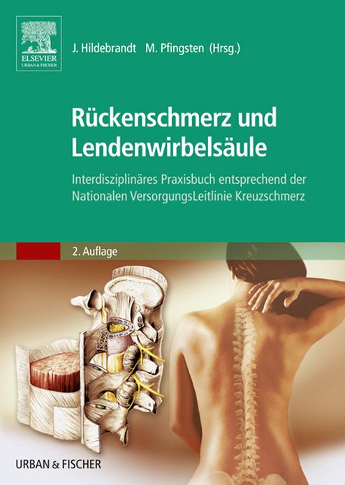 Rückenschmerz und Lendenwirbelsäule: Interdisziplinäres Praxisbuch - entsprechend den Nationalen Versorgungsleitlinien
