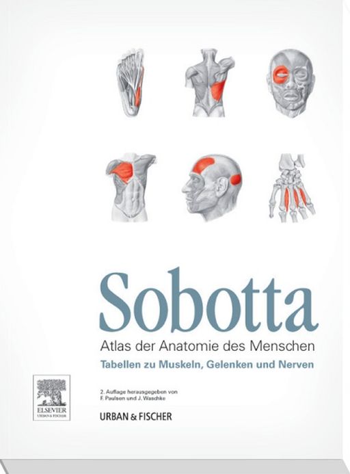 Sobotta Tables of Muscles, Joints and Nerves, English/Latin: Tables to 16th ed. of the Sobotta Atlas