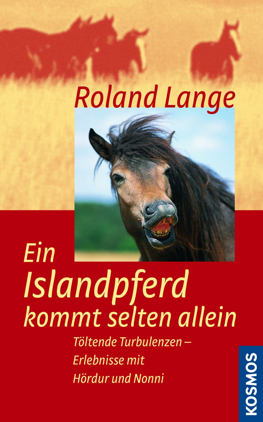 Ein Islandpferd kommt selten allein