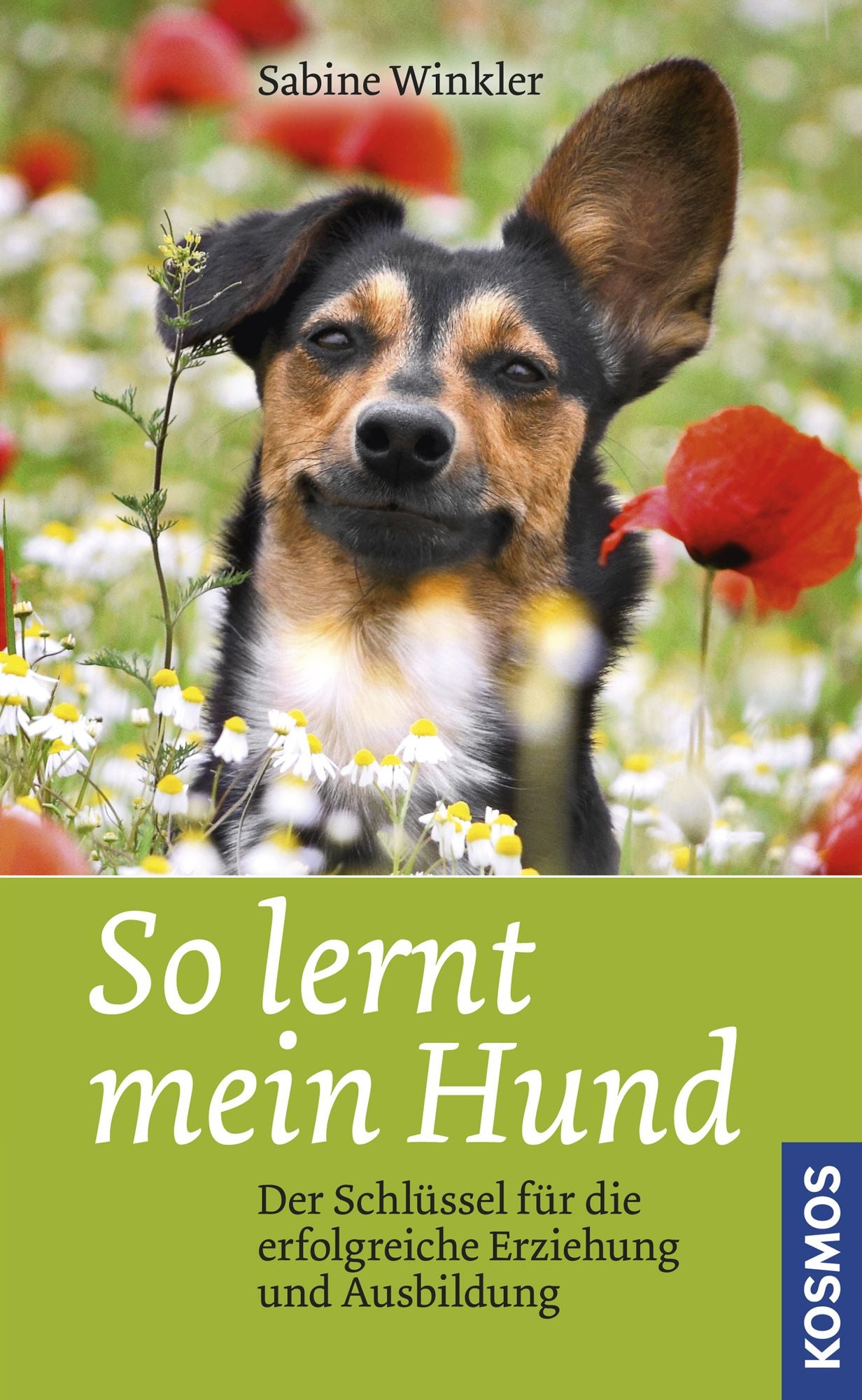 So lernt mein Hund: Der Schlüssel für die erfolgreiche Erziehung und Ausbildung